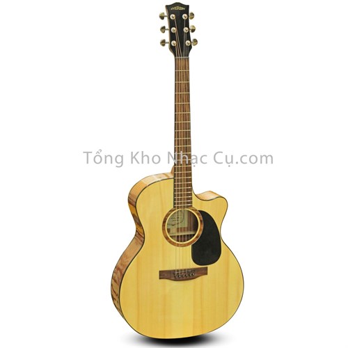 Đàn Guitar Acoustic Everest E50-HDG